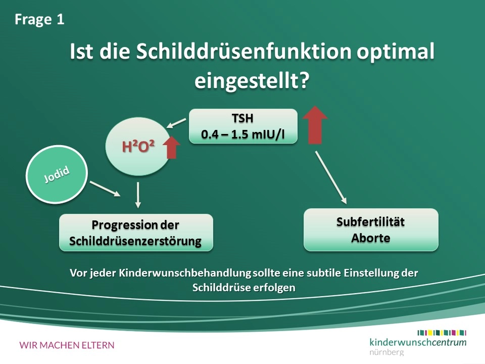 Hashimoto Thyreoiditis