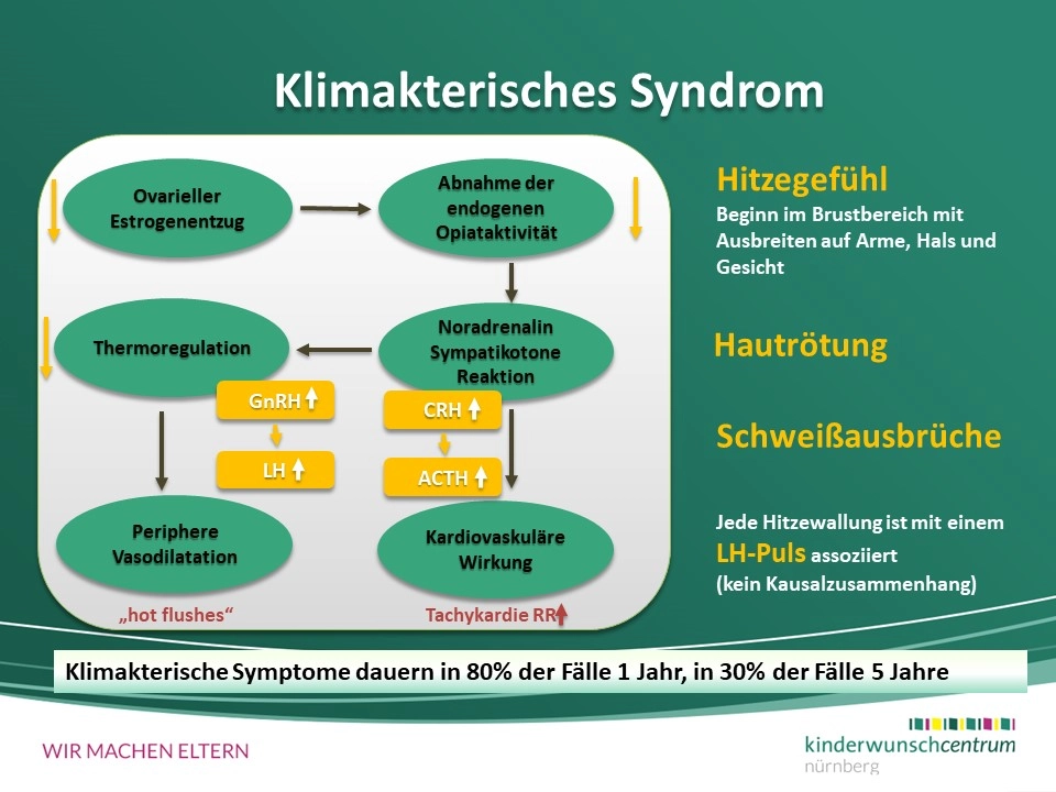 Wechseljahre (Menopause)