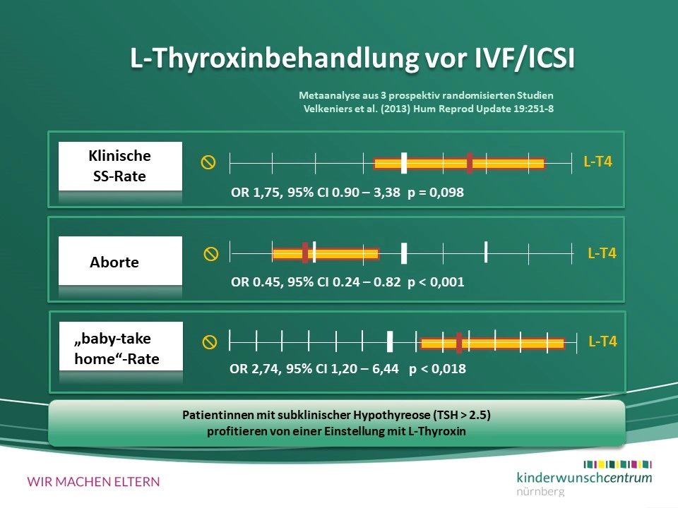 Hashimoto Thyreoiditis