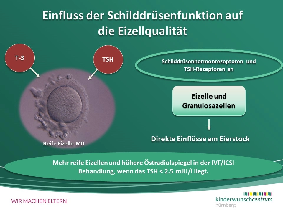 künstliche fingernägel matt Schwarz Matt main image 1