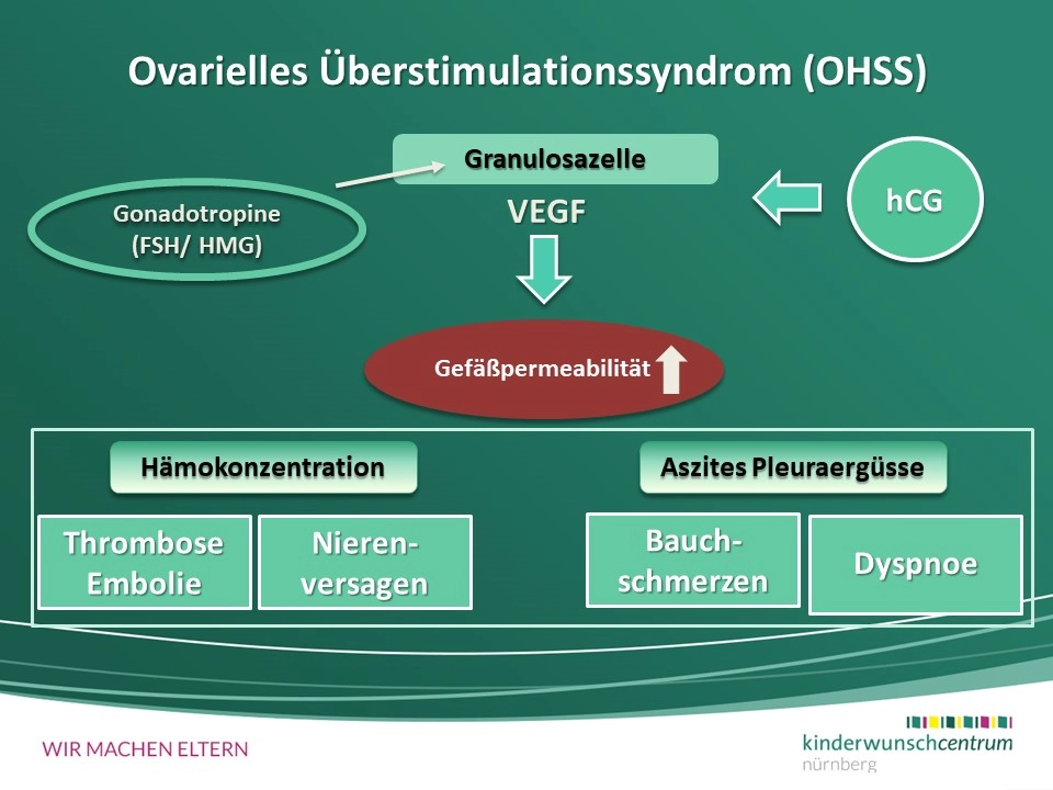 Chancen und Risiken der IVF/ICSI-Therapie