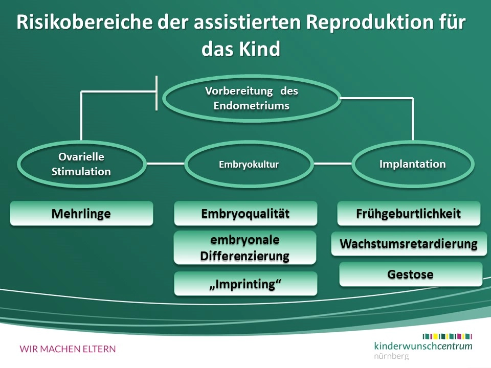 künstlicher weihnachtsbaum 250 cm Künstlicher Weihnachtsbaum 250cm – Naturgetreu main image 1