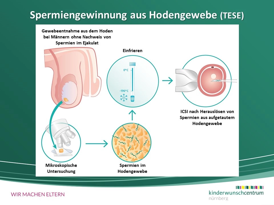 Ozbekcha seks tikish